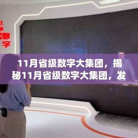 揭秘，省级数字大集团的发展脉络、战略焦点与未来展望（11月展望）