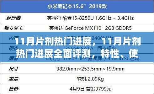 全面评测11月片剂进展,特性、使用体验、竞品对比及用户群体深度分析