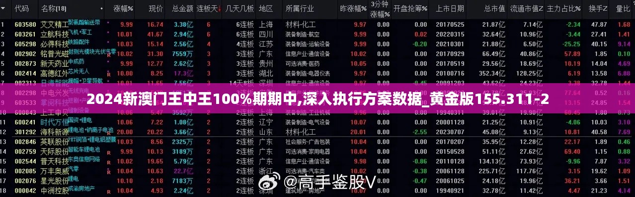2024新澳门王中王100%期期中,深入执行方案数据_黄金版155.311-2