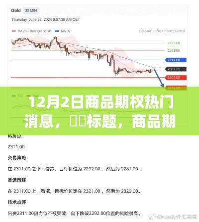 商品期权风云汇聚,开启心灵之旅的最佳时机