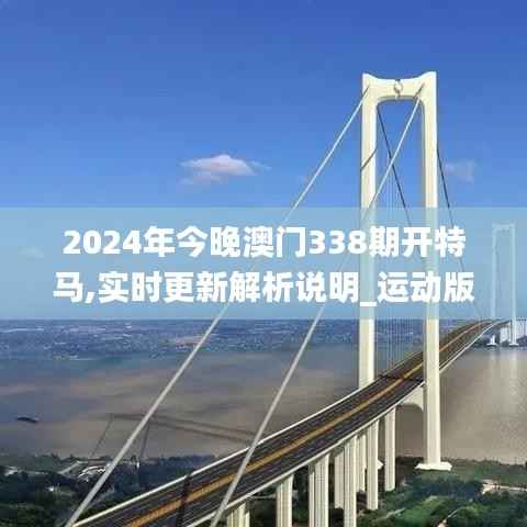 2024年今晚澳门338期开特马,实时更新解析说明_运动版15.605-4