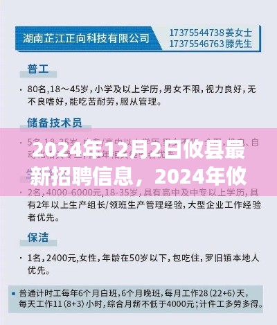 2024年攸县最新招聘信息获取与应聘全攻略,初学者与进阶用户必读