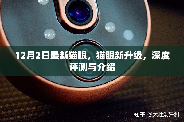 猫眼新升级深度评测与介绍，最新功能解析及使用体验