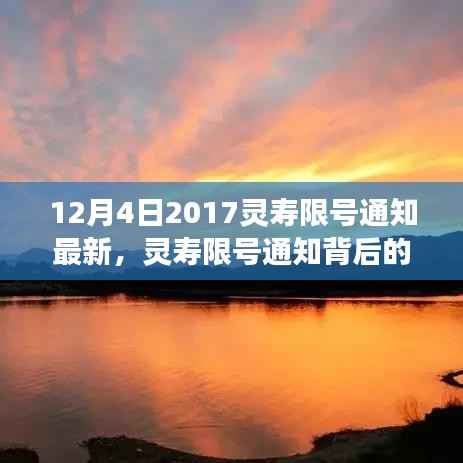 公司概况 第453页