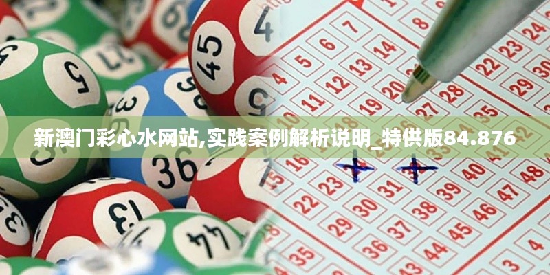 新澳门彩心水网站,实践案例解析说明_特供版84.876