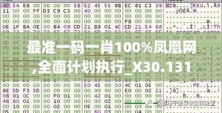 最准一码一肖100%凤凰网,全面计划执行_X30.131