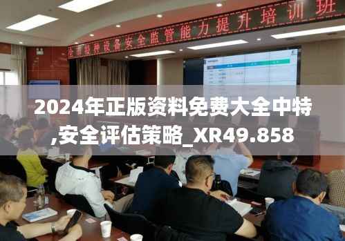 2024年正版资料免费大全中特,安全评估策略_XR49.858