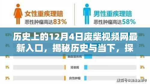 揭秘历史与当下,探寻历史上的废柴视频网最新入口(12月4日)