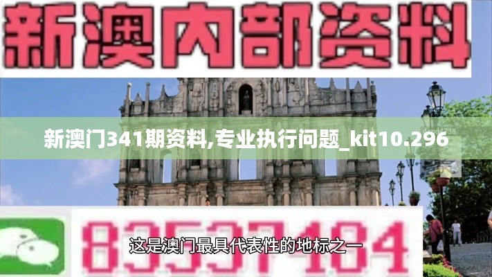 新澳门341期资料,专业执行问题_kit10.296