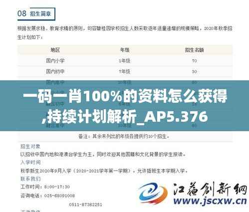 一码一肖100%的资料怎么获得,持续计划解析_AP5.376