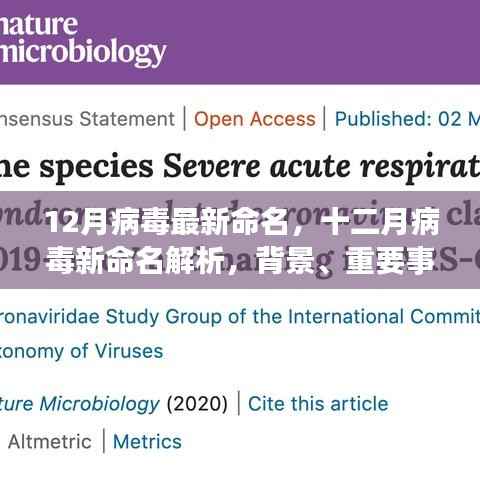十二月病毒最新命名解析,背景、事件、影响与时代地位全解读
