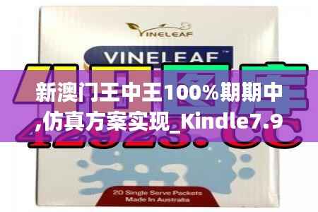 新澳门王中王100%期期中,仿真方案实现_Kindle7.968