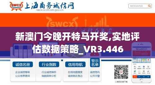 新澳门今晚开特马开奖,实地评估数据策略_VR3.446
