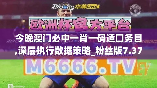 今晚澳门必中一肖一码适囗务目,深层执行数据策略_粉丝版7.375