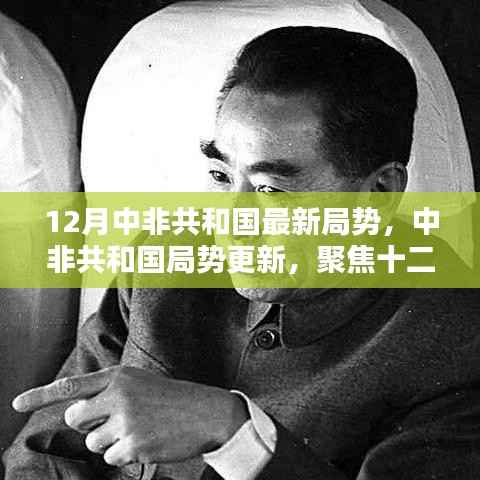 中非共和国局势最新动态，十二月更新聚焦