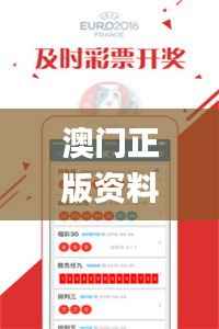 澳门正版资料大全资料生肖卡,平衡策略指导_VR1.759