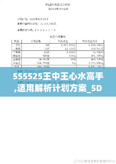 555525王中王心水高手,适用解析计划方案_5DM10.478