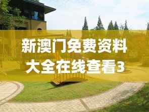 新澳门免费资料大全在线查看343期,权威诠释推进方式_桌面版4.334