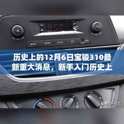 历史上的12月6日宝骏310最新重大消息,新手入门详解与操作指南