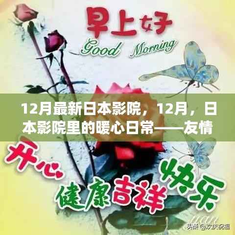 日本影院暖心日常,十二月友情与陪伴的温馨故事