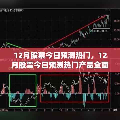 12月热门股票预测，全面评测与介绍