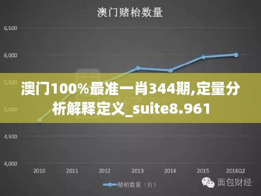 澳门100%最准一肖344期,定量分析解释定义_suite8.961