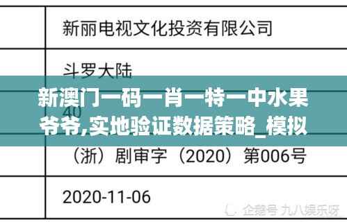 新澳门一码一肖一特一中水果爷爷,实地验证数据策略_模拟版1.282