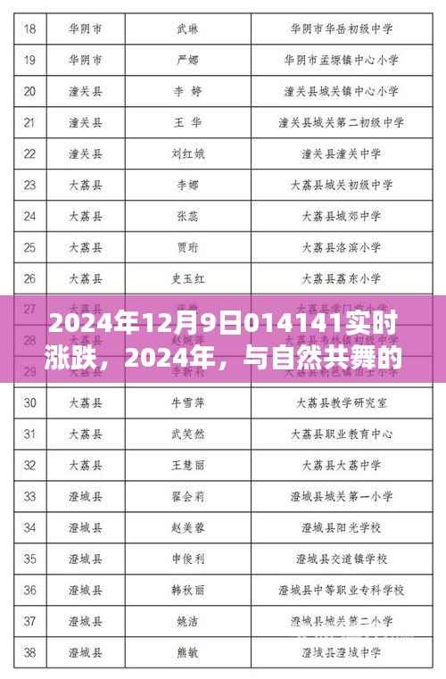 心灵旅行，与自然共舞的日子下的股市涨跌人生（实时更新）