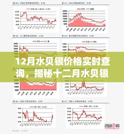 揭秘十二月水贝银市场走势,实时银价查询与深度分析