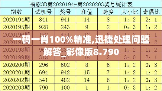 一码一肖100%精准,迅捷处理问题解答_影像版8.790