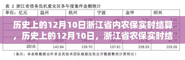 浙江省农保实时结算系统深度评测,历史上的12月10日结算纪实与评估