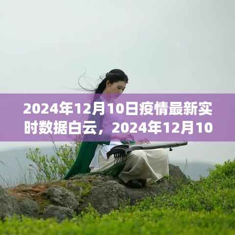 聚焦白云,全球疫情最新实时数据分析与展望