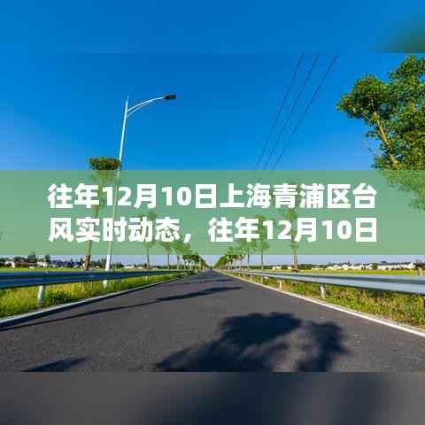 上海青浦区往年台风深度解析与案例分析,台风实时动态回顾与反思
