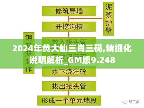 2024年黄大仙三肖三码,精细化说明解析_GM版9.248