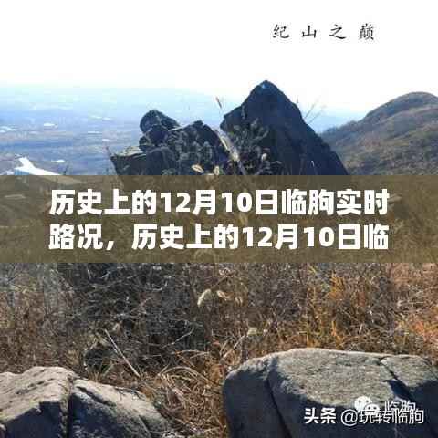 历史上的临朐实时路况回顾，智能导航引领未来出行新纪元