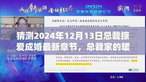 总裁掠爱成婚，暖心日常与爱的力量最新章节猜测 2024年总裁家的温馨时光