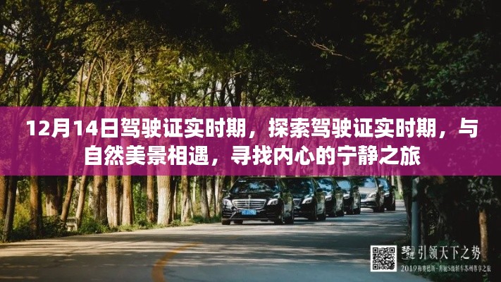 探索驾驶证实时期,与自然美景相遇的宁静之旅