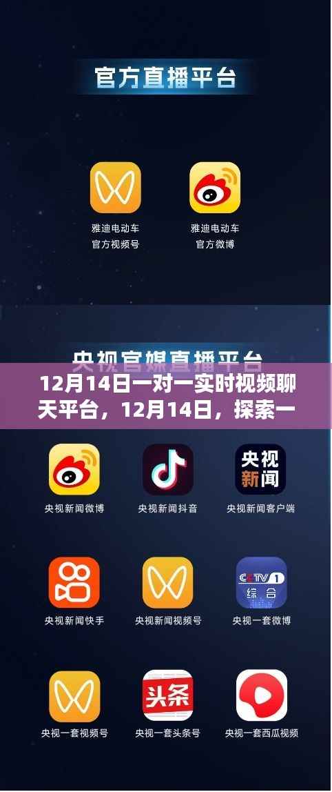 探索一对一实时视频聊天平台，全新体验在12月14日开启