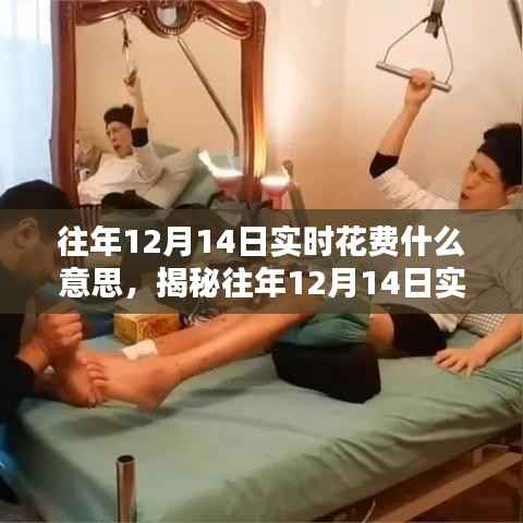 揭秘往年12月14日实时花费背后的含义与全貌解析!