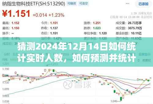 2024年实时人数统计与预测指南,详细步骤至12月14日