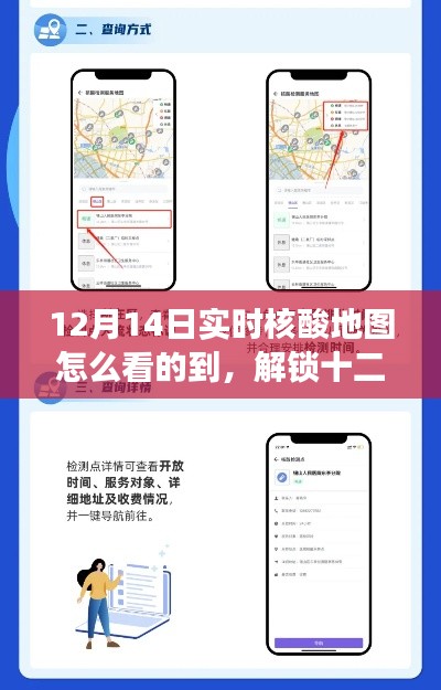 十二月实时核酸地图导航,解锁神奇密码的心灵之旅