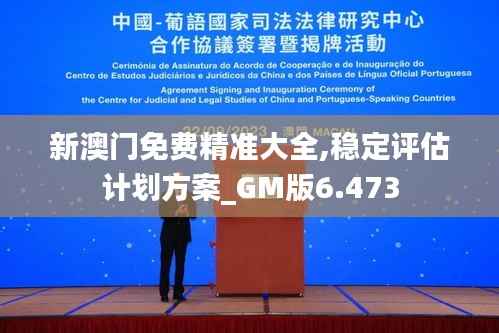 新澳门免费精准大全,稳定评估计划方案_GM版6.473