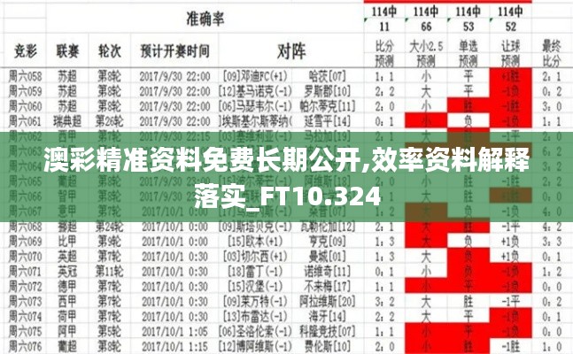 澳彩精准资料免费长期公开,效率资料解释落实_FT10.324