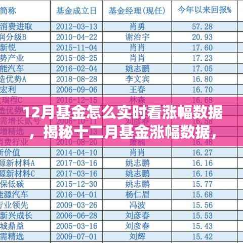 揭秘十二月基金涨幅实时观察与深度解读,实时数据观察与特定时代地位分析