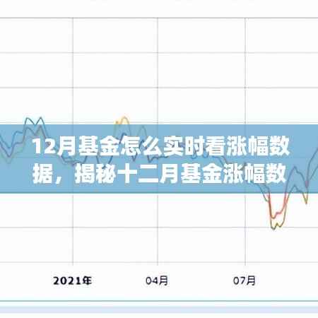 揭秘十二月基金涨幅实时观察与深度解读,实时数据观察与特定时代地位分析
