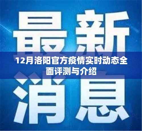 12月洛阳疫情官方实时动态全面解析与介绍