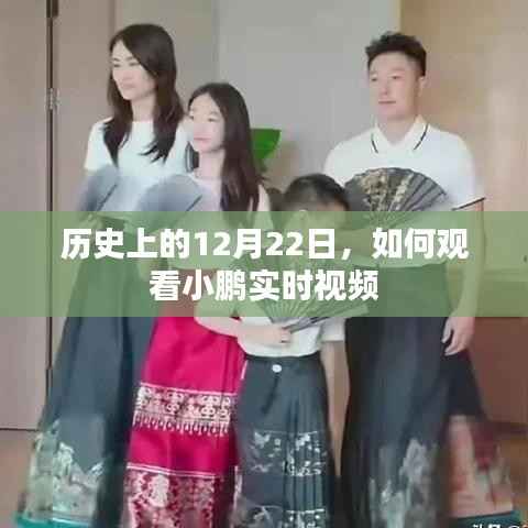 小鹏实时视频直播,回顾历史上的12月22日