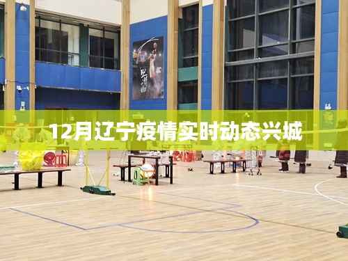 辽宁兴城疫情实时动态更新