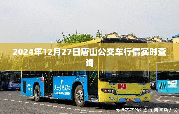 囊萤映雪 第4页