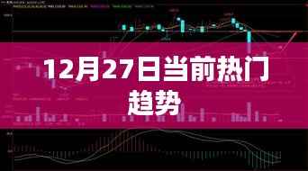 12月27日最新热门趋势解析